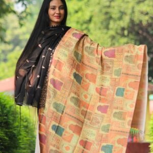 Elegant Digital Print Woolen Shawl-S014